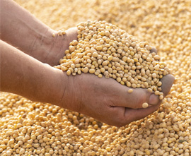 Grain Handling
